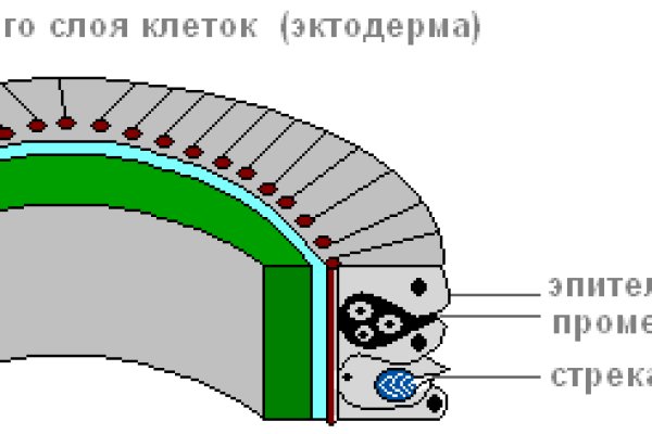 Ссылка кракен зеркало тор